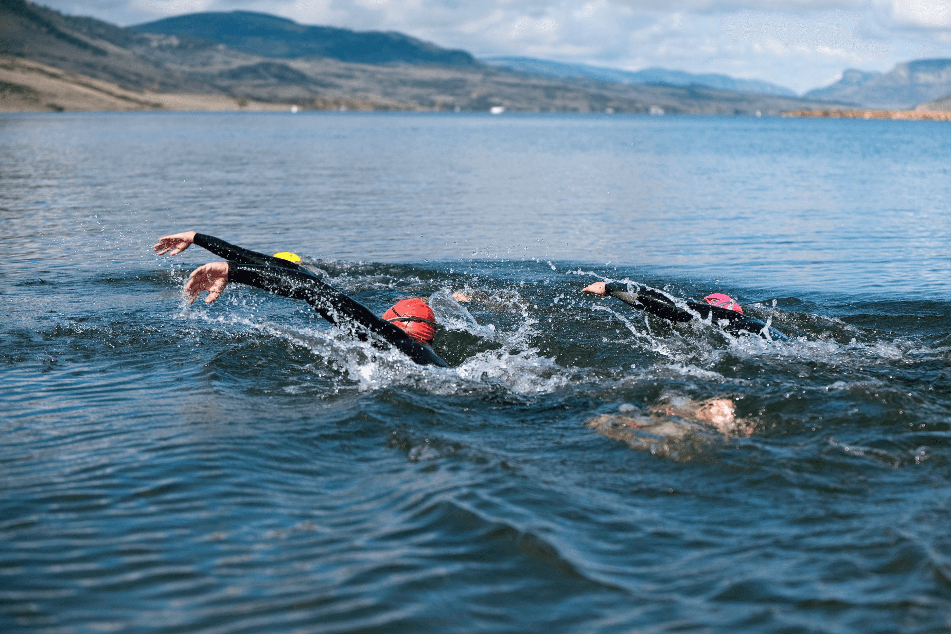 Open water swimmers in large lake