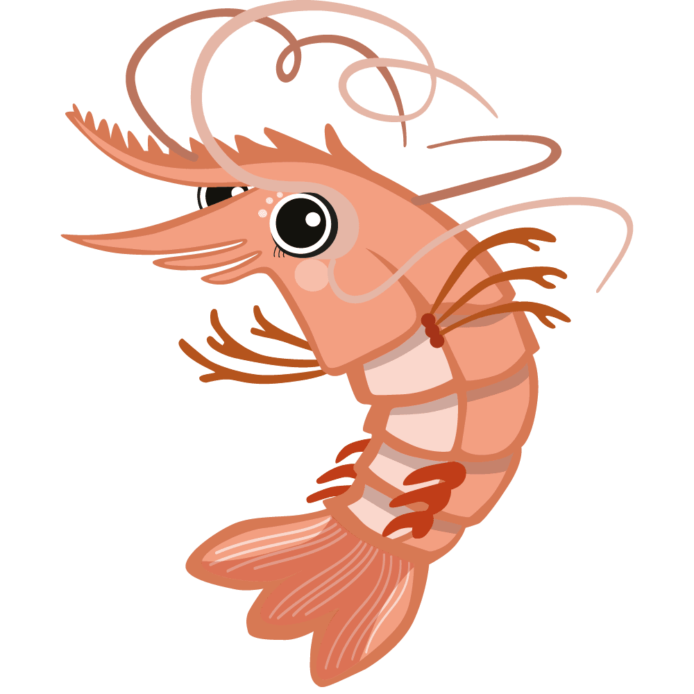 Polly Prawn