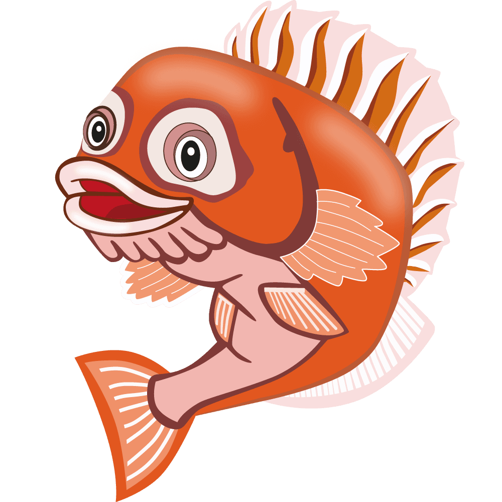 Rocco Rockfish