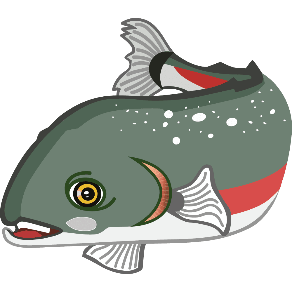 Suki Salmon