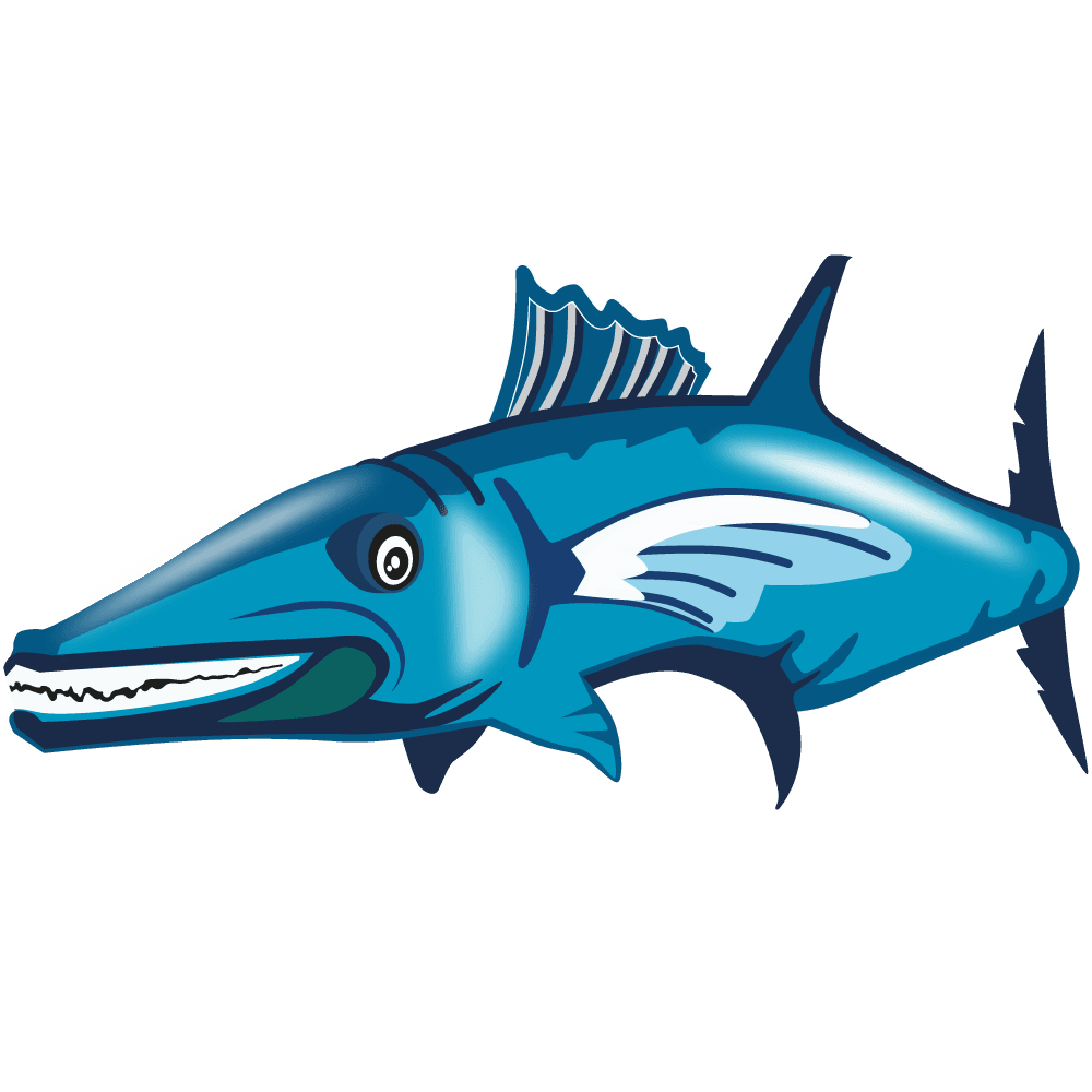 Barry Barracuda