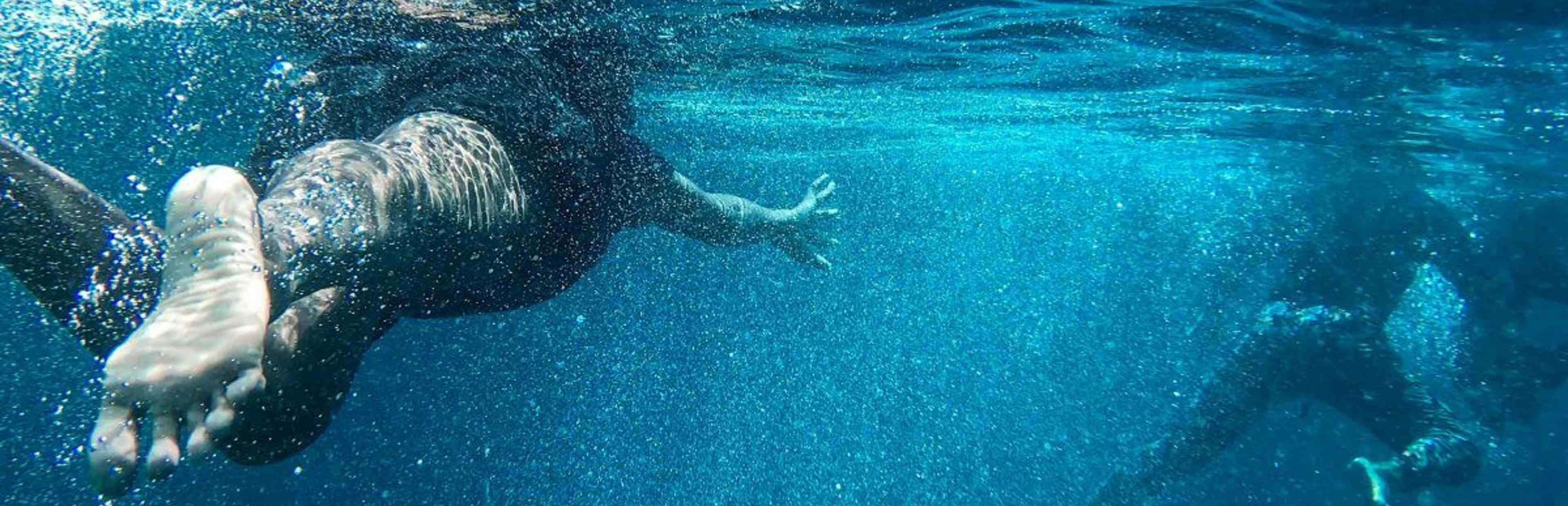 Underwater picture of swimming