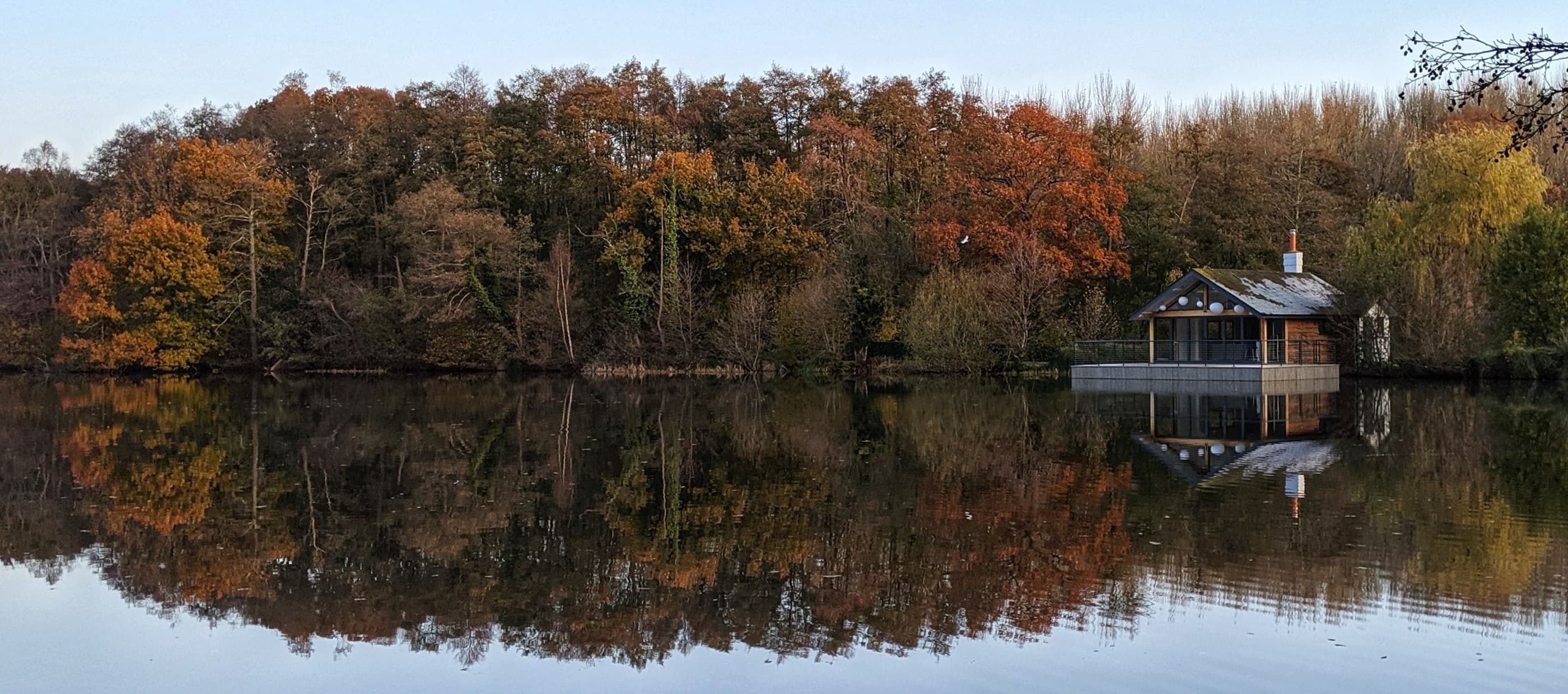 Swimming Lessons in Surrey