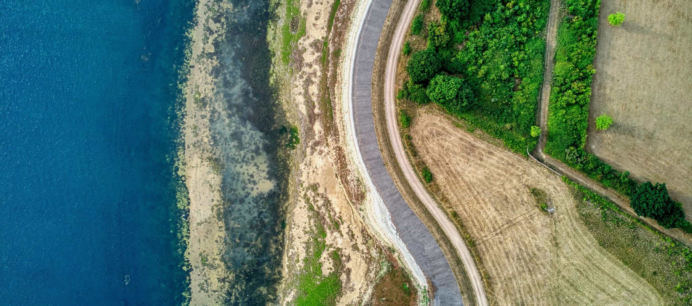 Swimming Lessons in Essex