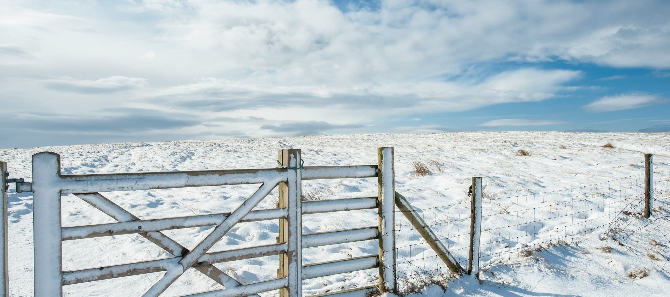 Swimming Lessons in West Yorkshire