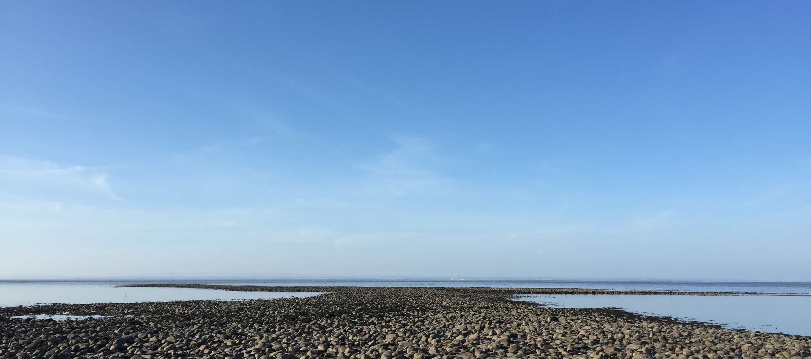 Swimming Lessons in West Country