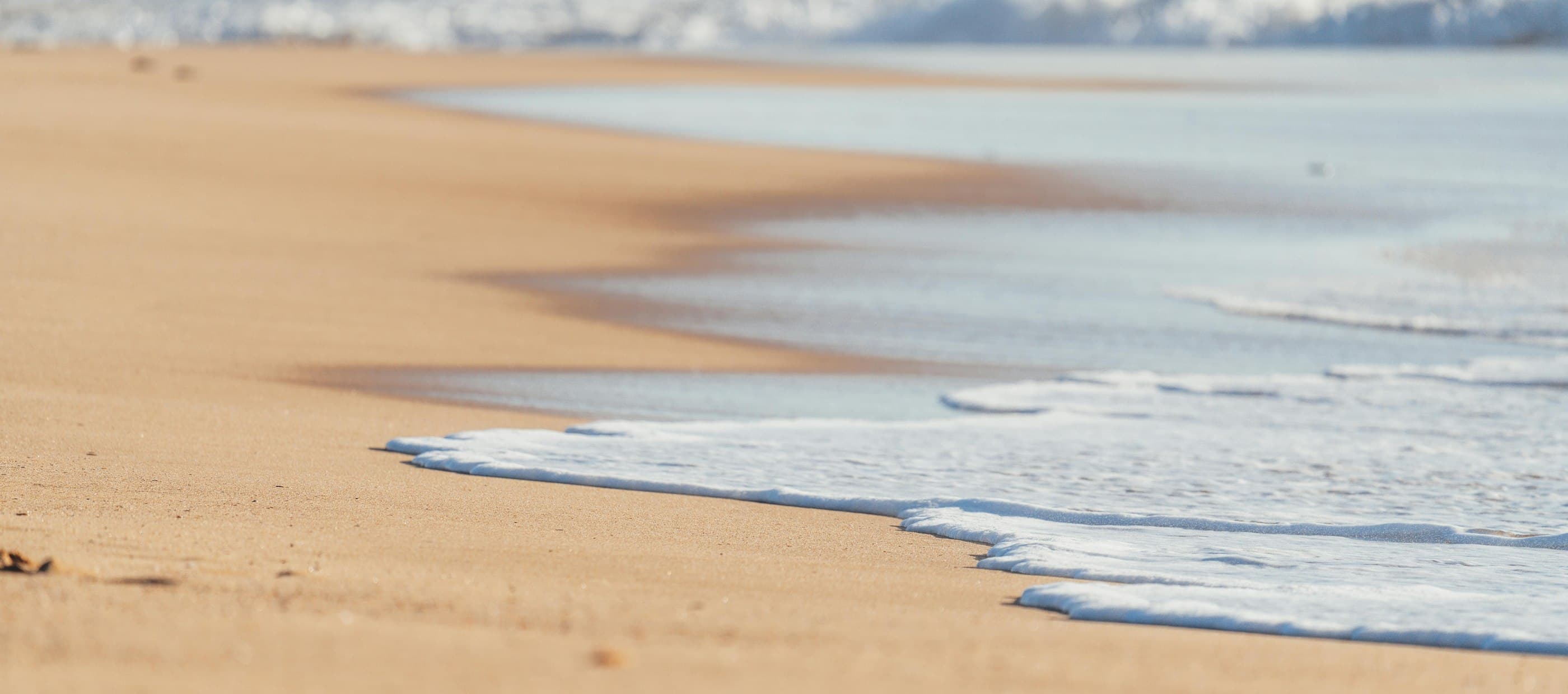 Buy into a Swimtime franchise now and you won’t be going against the tide