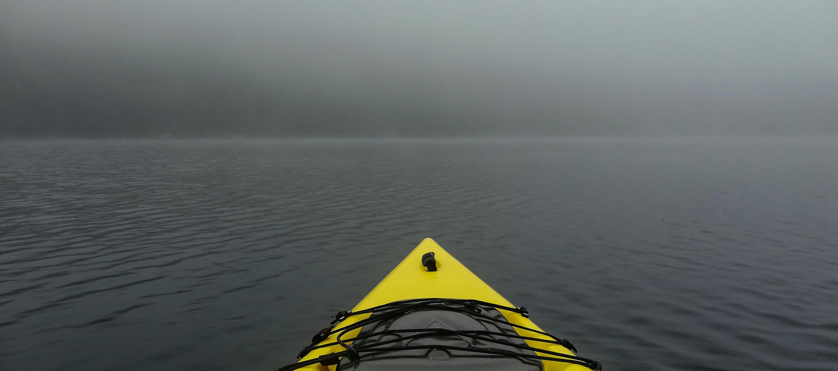 Swimtime teacher saves a life.
