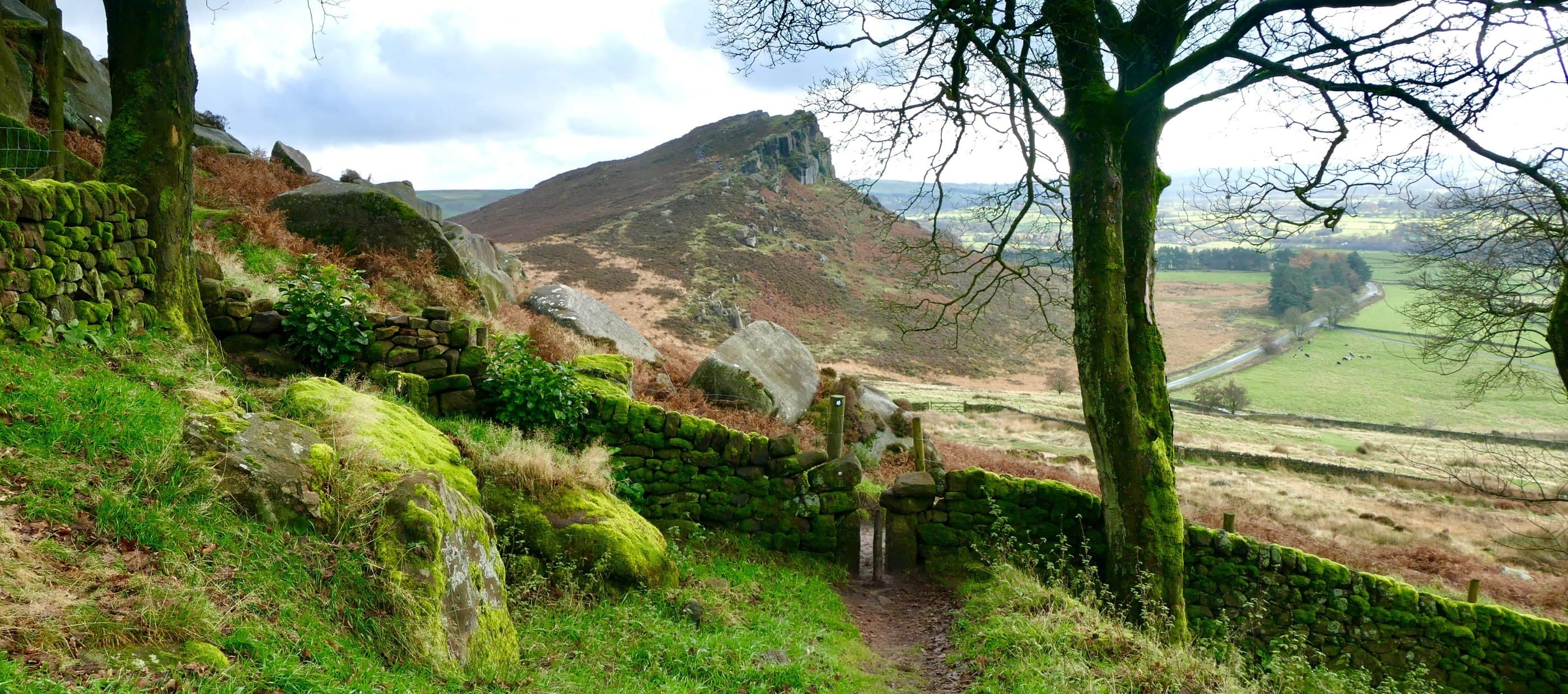Swimming Lessons in South Yorkshire