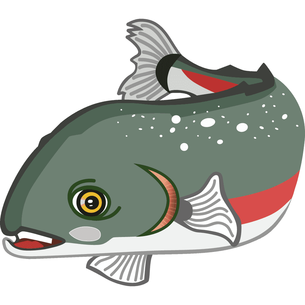 Suki Salmon